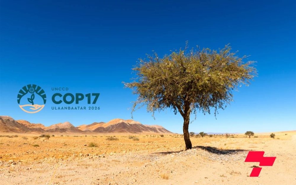 Амжилттай зохион байгуулсан “СОР17”-оос л эерэг үр дүн хүлээнэ